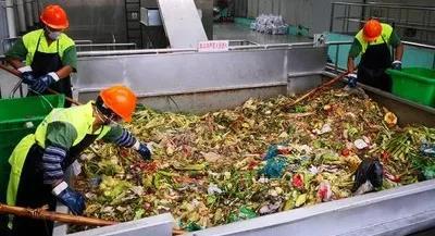 成熟的市場