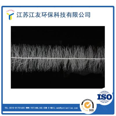 江蘇江友環?？萍加邢薰? width=