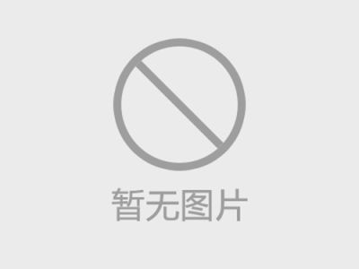 山東寧陽古建青瓦廠