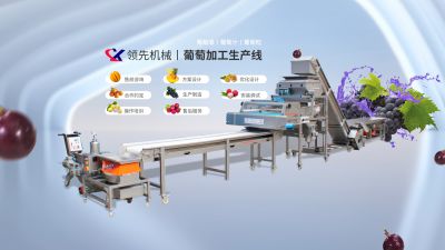 新鄉(xiāng)市領(lǐng)先輕工機(jī)械有限公司