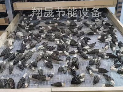 東莞市翔晟節(jié)能設備有限公司