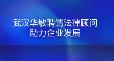 武漢華敏測控技術(shù)股份有限公司
