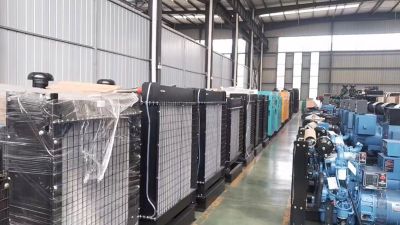 沈陽德尼斯發電設備有限公司