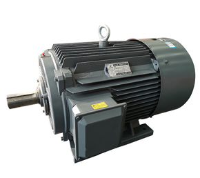 山東盛華（華能）電機(jī)有限公司